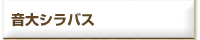 音大シラバス